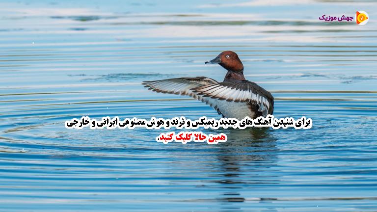 دانلود آهنگ از مجیدیه تا نیاوران از اندی